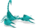 Internet Marketing Experts